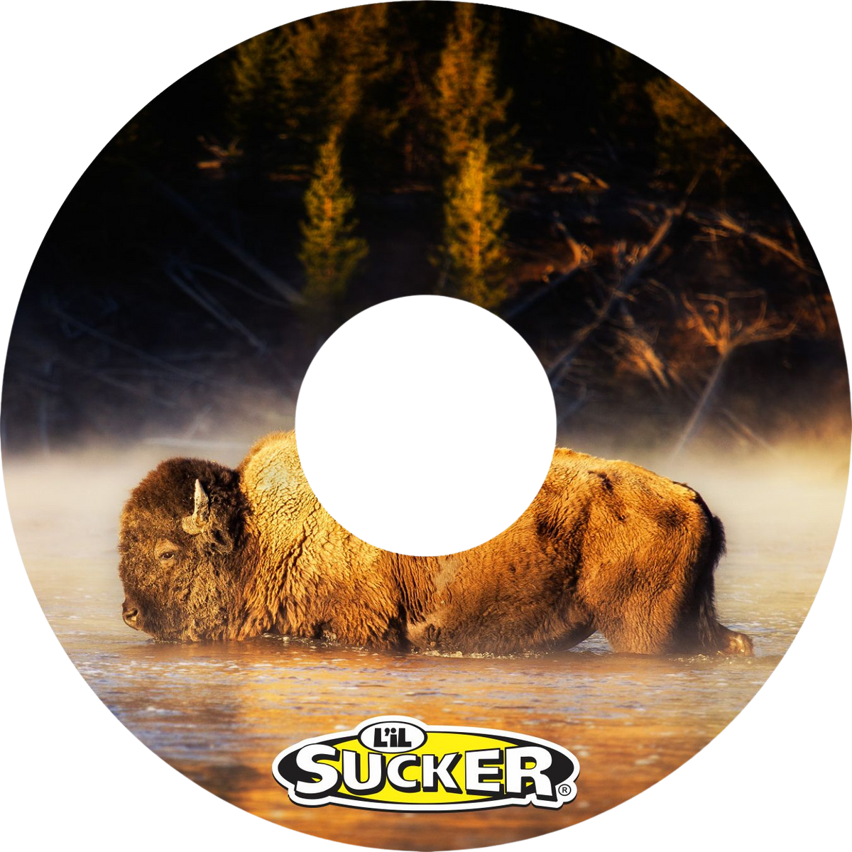 Bison