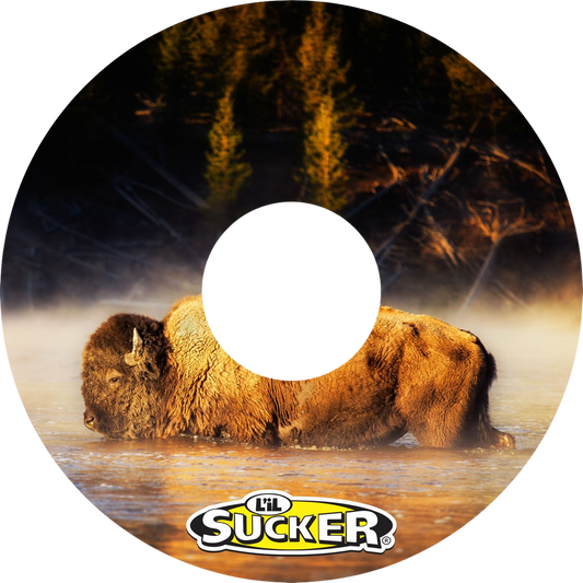 Bison
