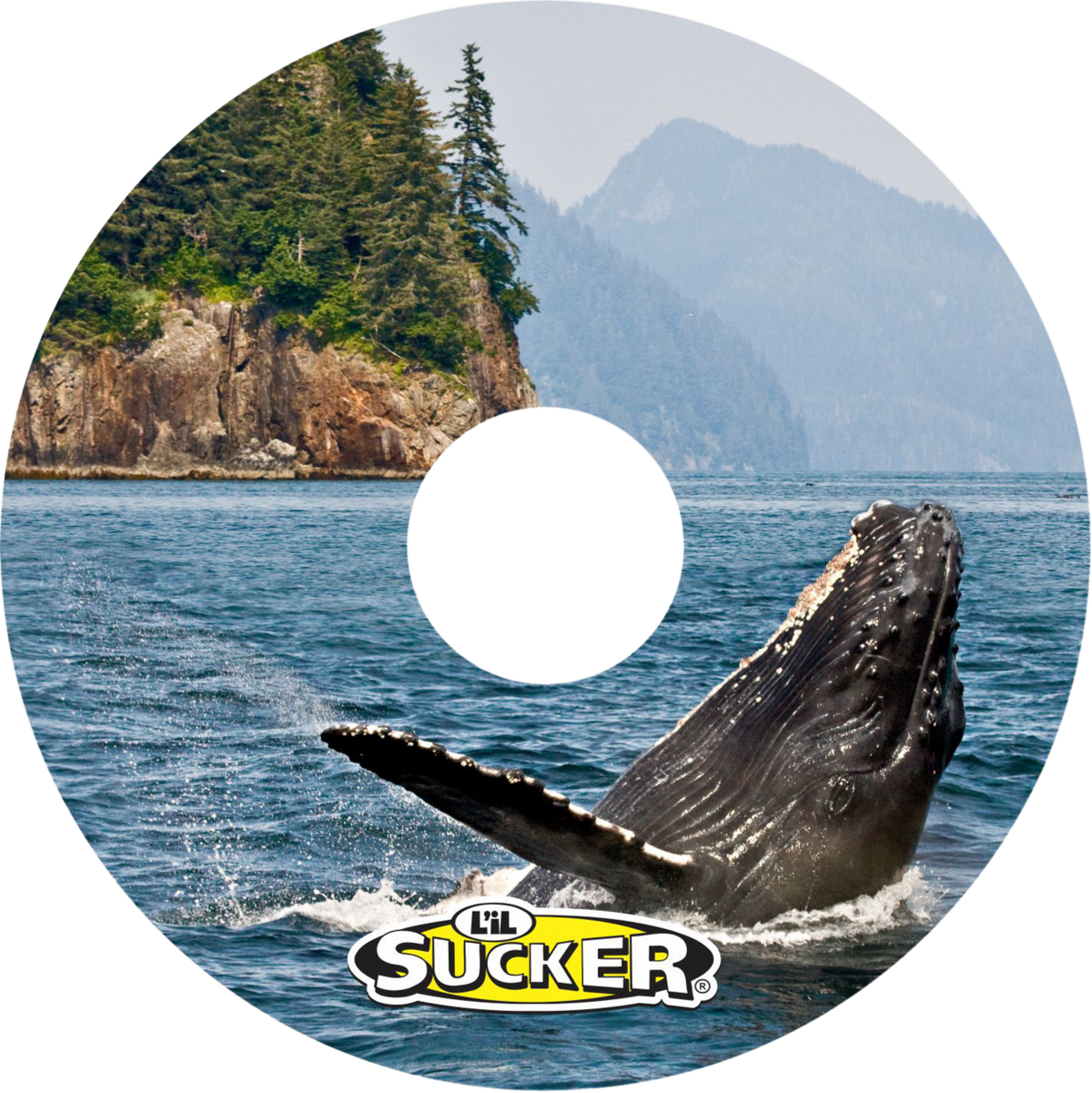 Whale