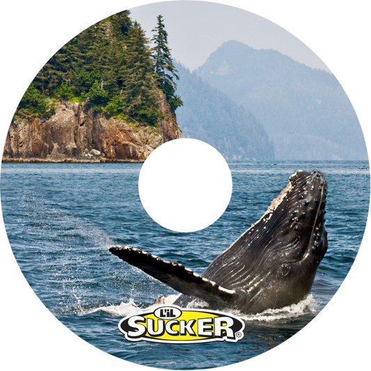 Whale