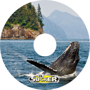 Whale
