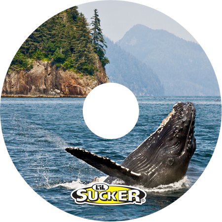 Whale