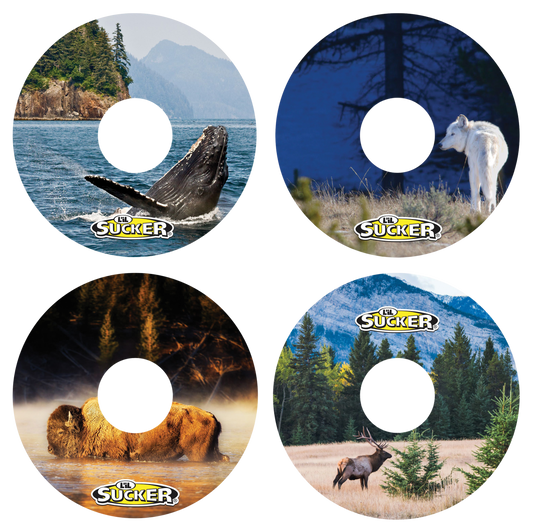 Wildlife 4 Pack