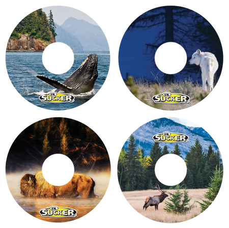 Wildlife 4 Pack