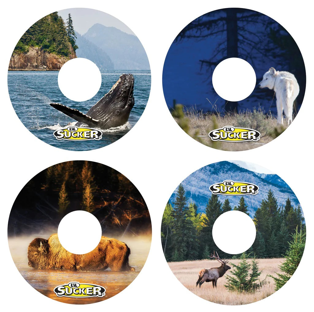 The Great Outdoors Series - The L'iL Sucker Store