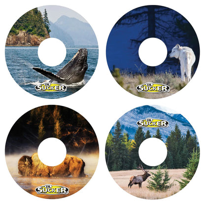 The Great Outdoors Series - The L'iL Sucker Store