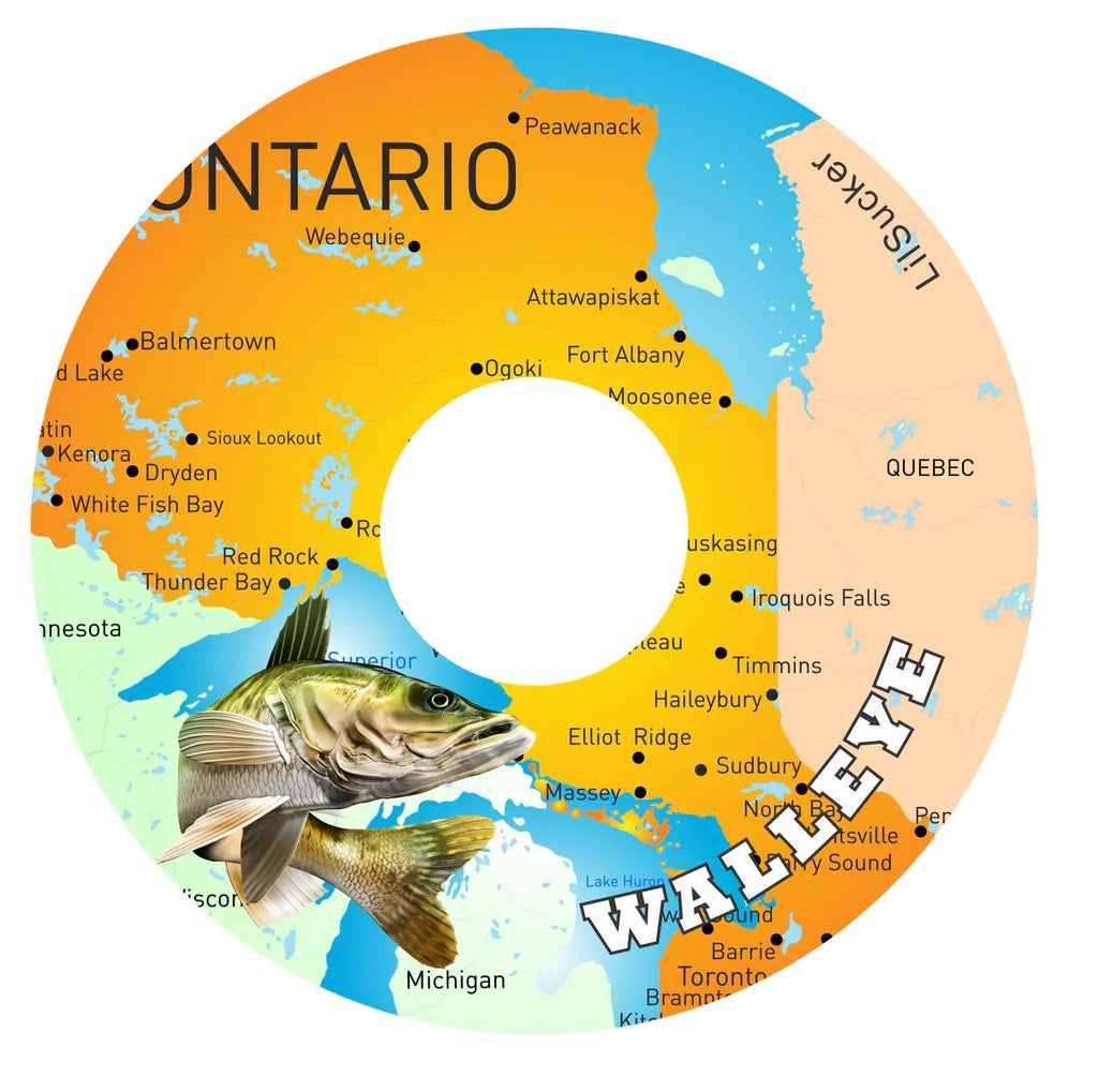 Fish Series - The L'iL Sucker Store